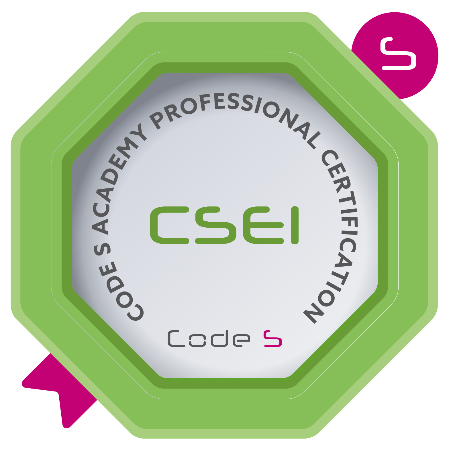 Certified AI Sustainable Energy Innovator (CSEI)